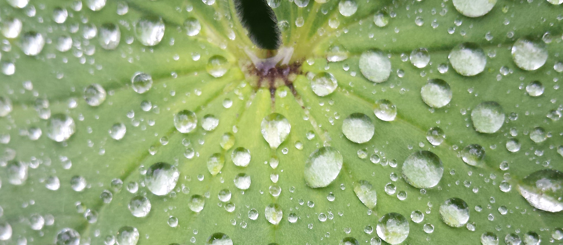 Qu'est-ce qu'une fontaine à eau atmosphérique ?