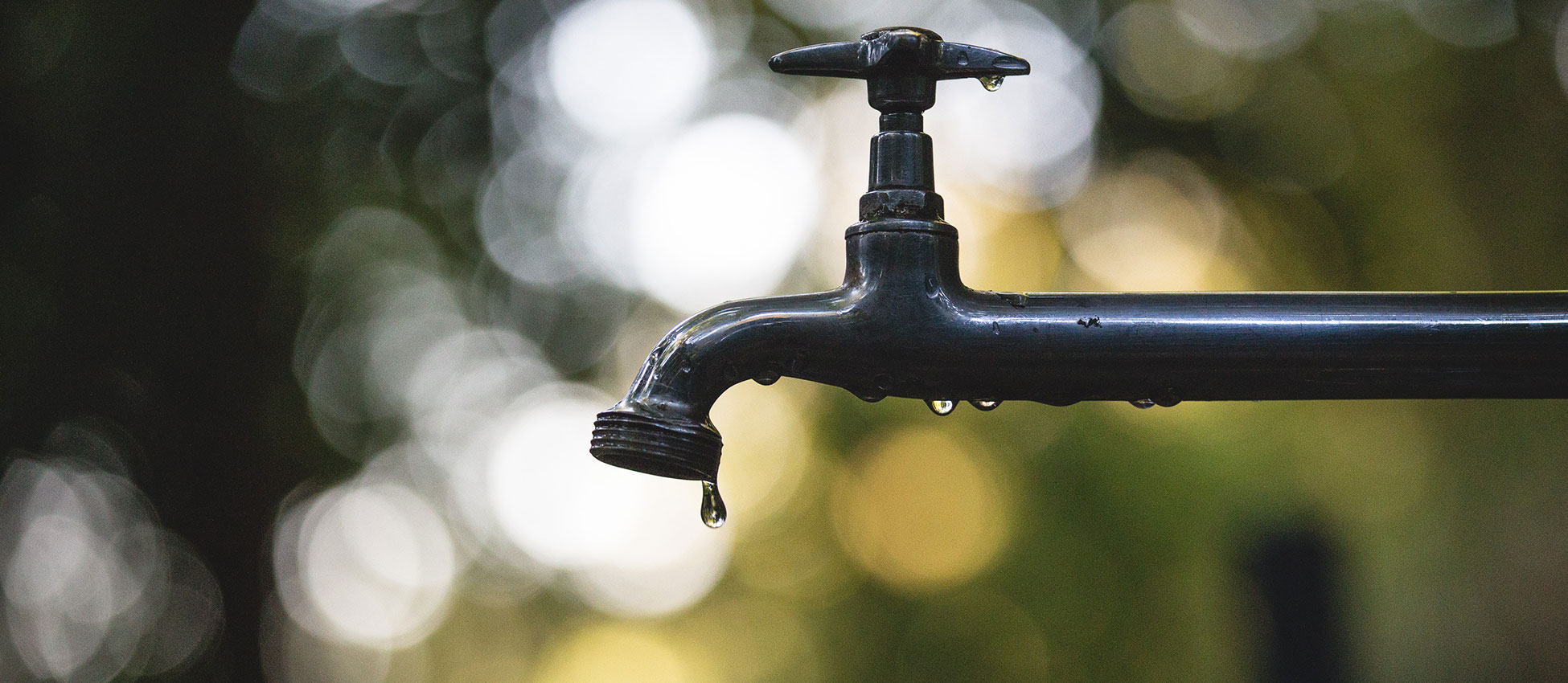 Qu'est-ce qu'une fontaine à eau en réseau ?